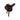 Selle poney Premiere complète