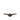 Sangle Acavallo avec rabat ventral Comfort Gel