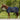 Couverture anti-pluie Waldhausen Comfort