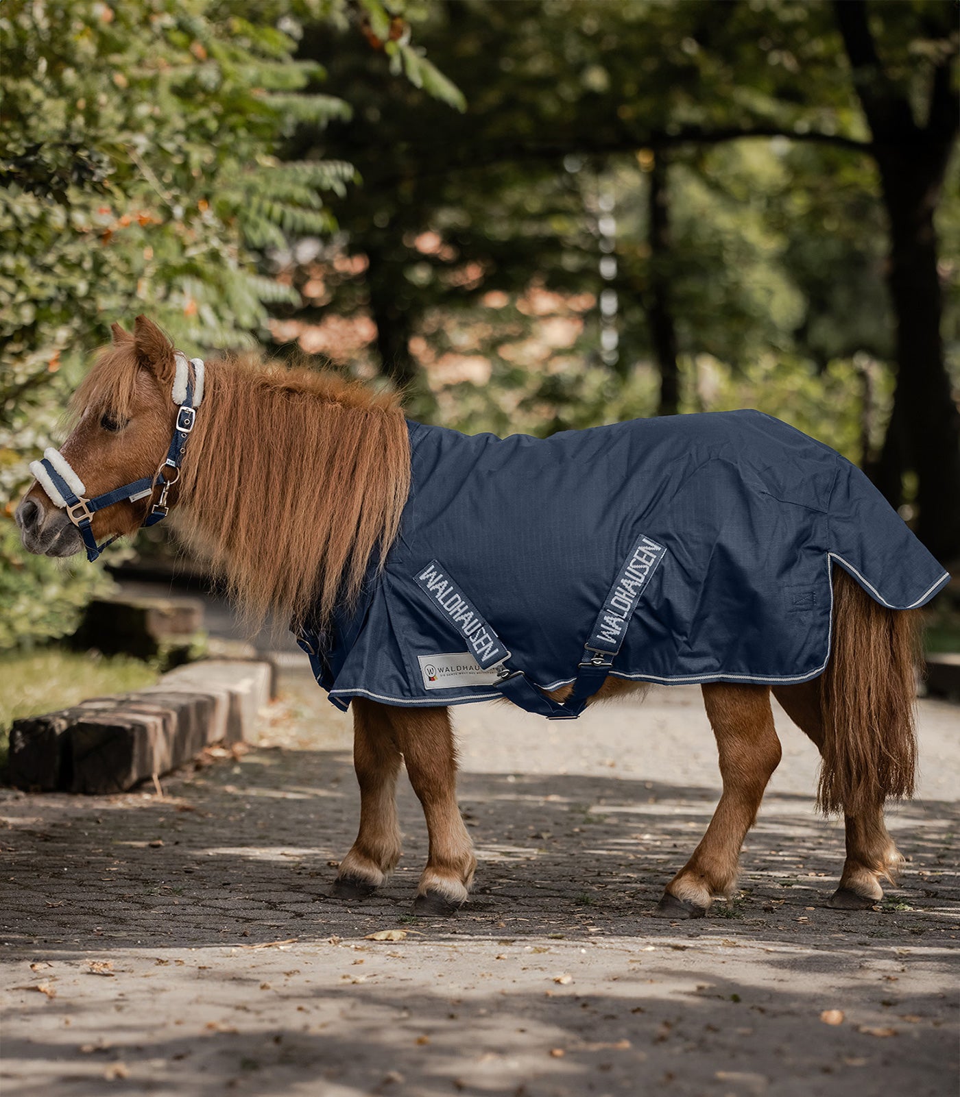 WALDHAUSEN - Chemise de pluie Imperméable poney et shetland 420D ECONOMIC WALDHAUSEN - Chemise de pluie Imperméable poney et shetland 420D ECONOMIC