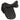 Poney de selle de dressage BR Torellini